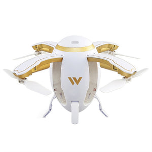 Rugby Ball Foldable RC Drone